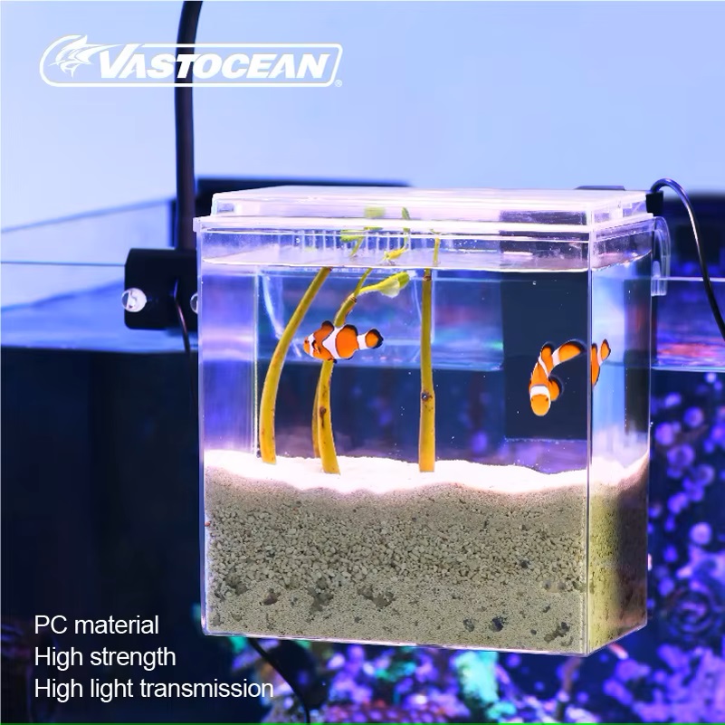 VASTOCEAN-caja de alimentación - Marine Aquarium Overflow reseña y precio