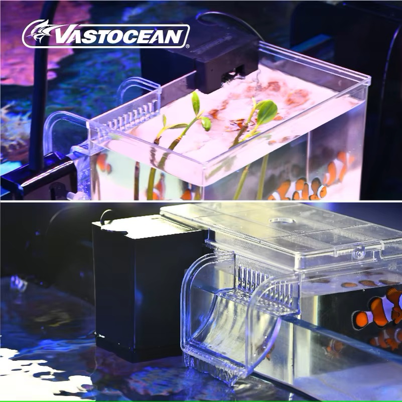 VASTOCEAN-caja de alimentación - Marine Aquarium Overflow reseña y precio