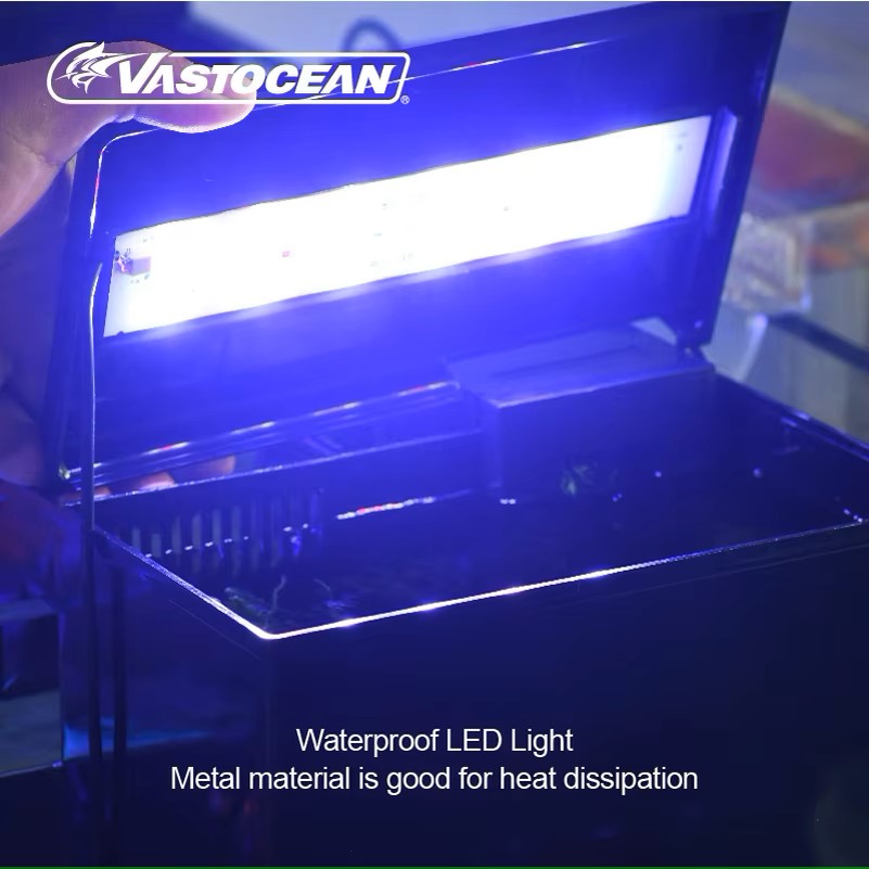 VASTOCEAN-caja de alimentación - Marine Aquarium Overflow reseña y precio