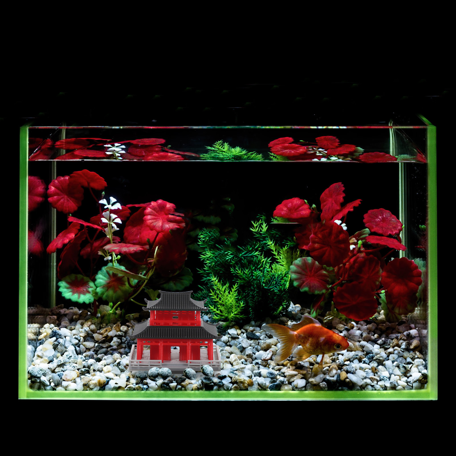 Mini Pabellón Pagoda, Arquitec - Aquarium & Marine Museum Kota Kinabalu reseña y precio