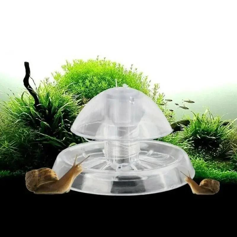 Nueva Trampa para Caracoles de - Marine Aquarium Equipment reseña y precio