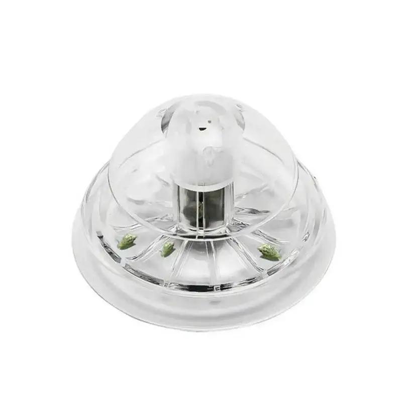 Nueva Trampa para Caracoles de - Marine Aquarium Equipment reseña y precio
