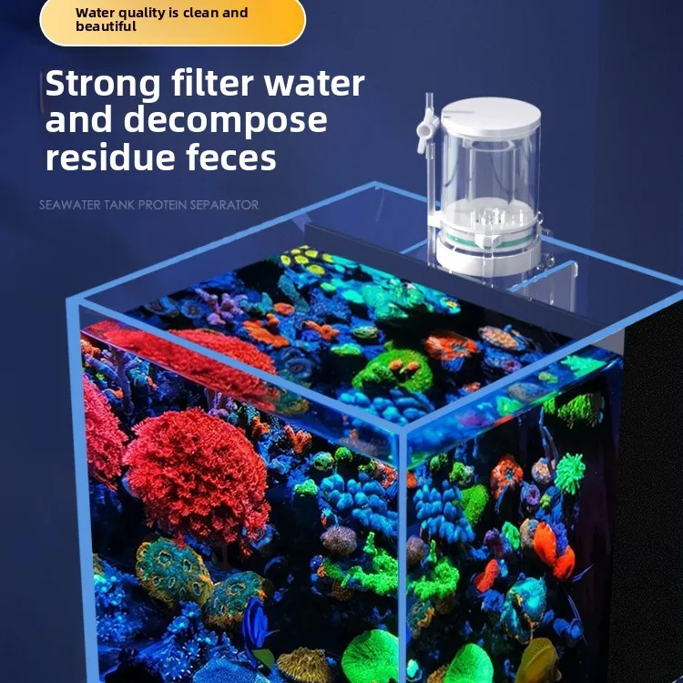 Nuevo Mini Separador de Proteí - Marine Aquarium Overflow reseña y precio
