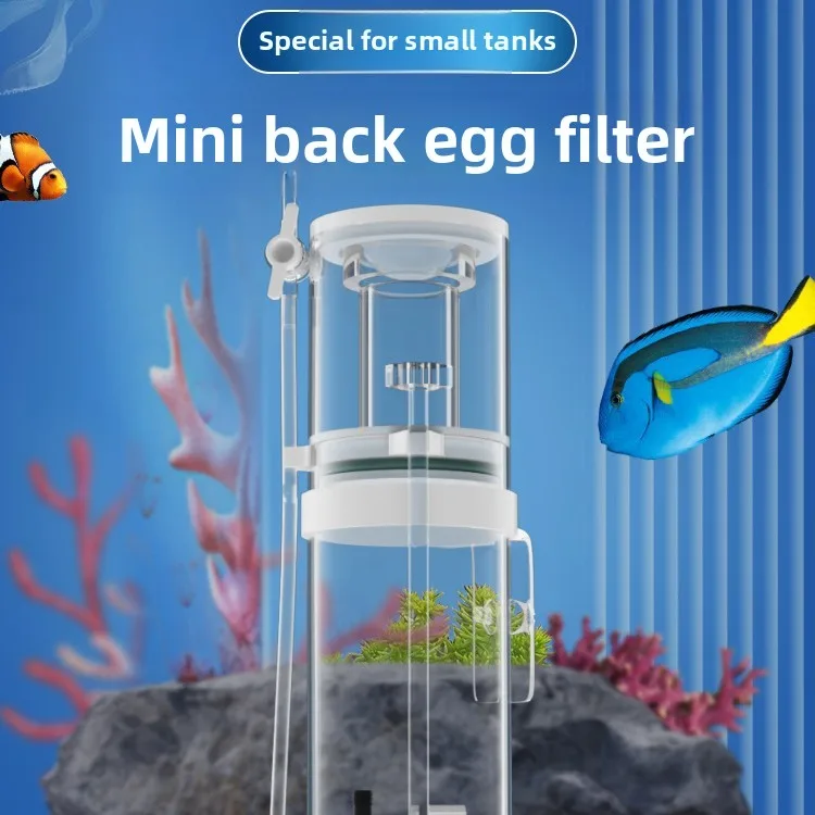 Nuevo Mini Separador de Proteí - Marine Aquarium Overflow reseña y precio