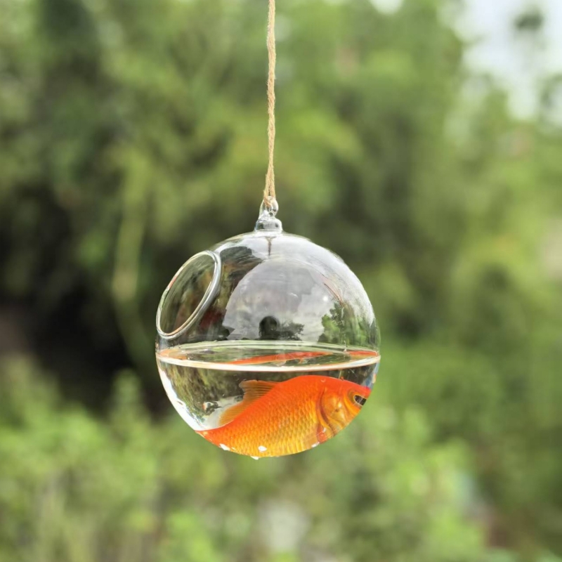 Terrario de Vidrio Transparent - Aquarium & Marine Museum Kota Kinabalu reseña y precio