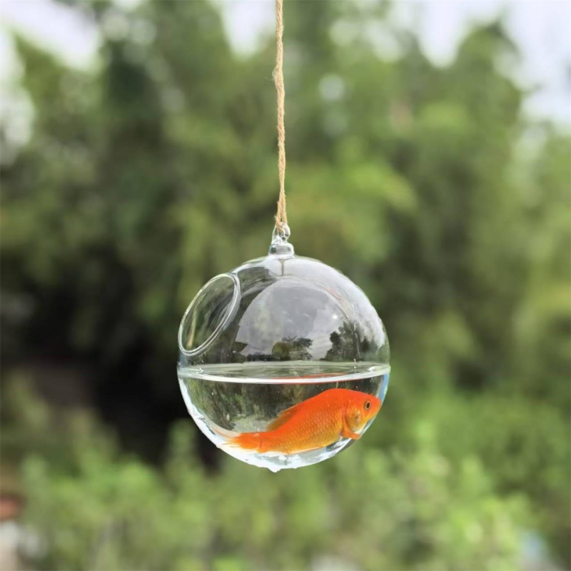 Terrario de Vidrio Transparent - Aquarium & Marine Museum Kota Kinabalu reseña y precio