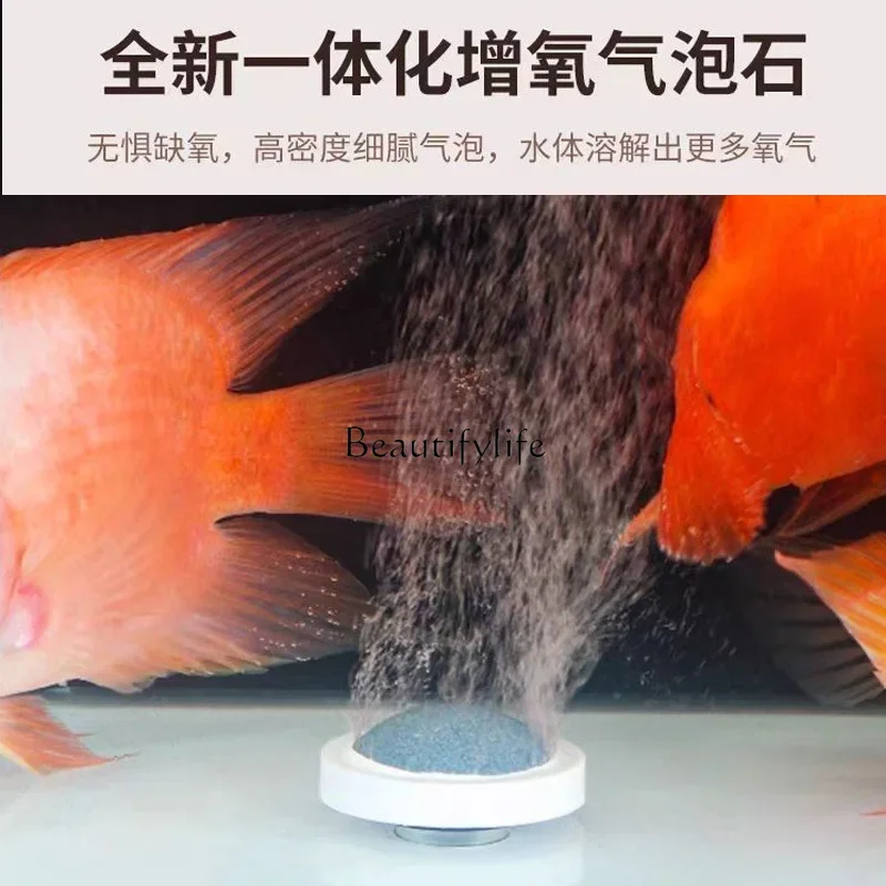 Acuario ecológico vertical de  - Aquarium & Marine Science Center reseña y precio