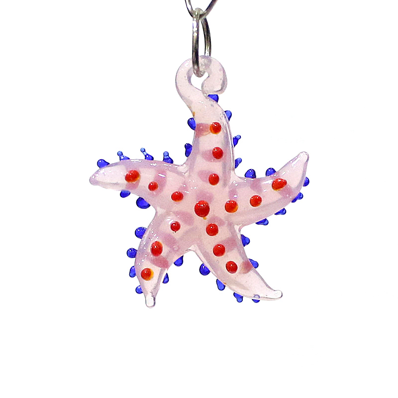 Lindo animal marino estrella d - Marine Aquarium & Regional Centre reseña y precio